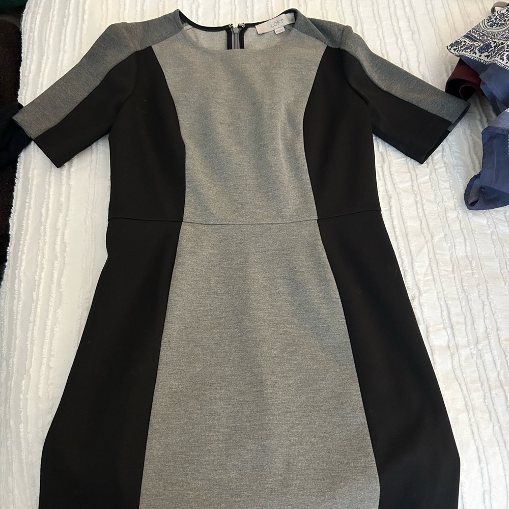 Elegant Loft Black and Gray Dress